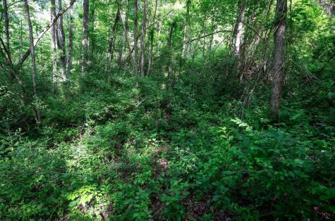 1 Hecks Run Rivesville WV 26588