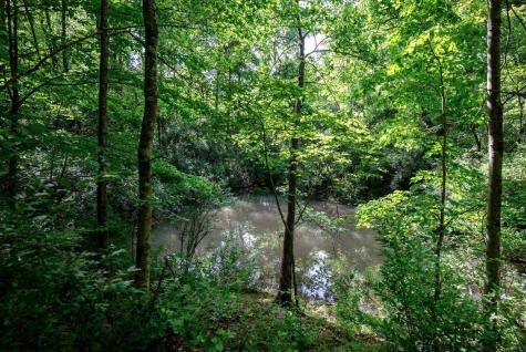 1 Hecks Run Rivesville WV 26588