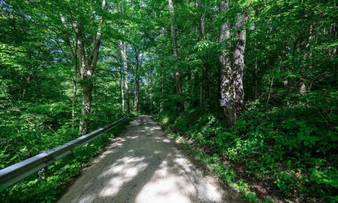 1 Hecks Run Rivesville WV 26588