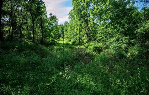 1 Hecks Run Rivesville WV 26588