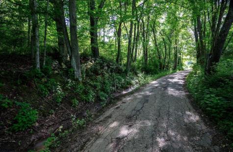 1 Hecks Run Rivesville WV 26588