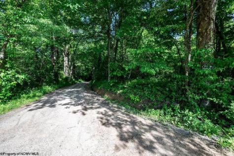 1 Hecks Run Rivesville WV 26588