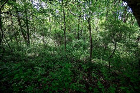 1 Hecks Run Rivesville WV 26588