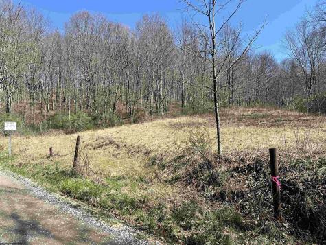 0 Herb Hyre Road French Creek WV 26218