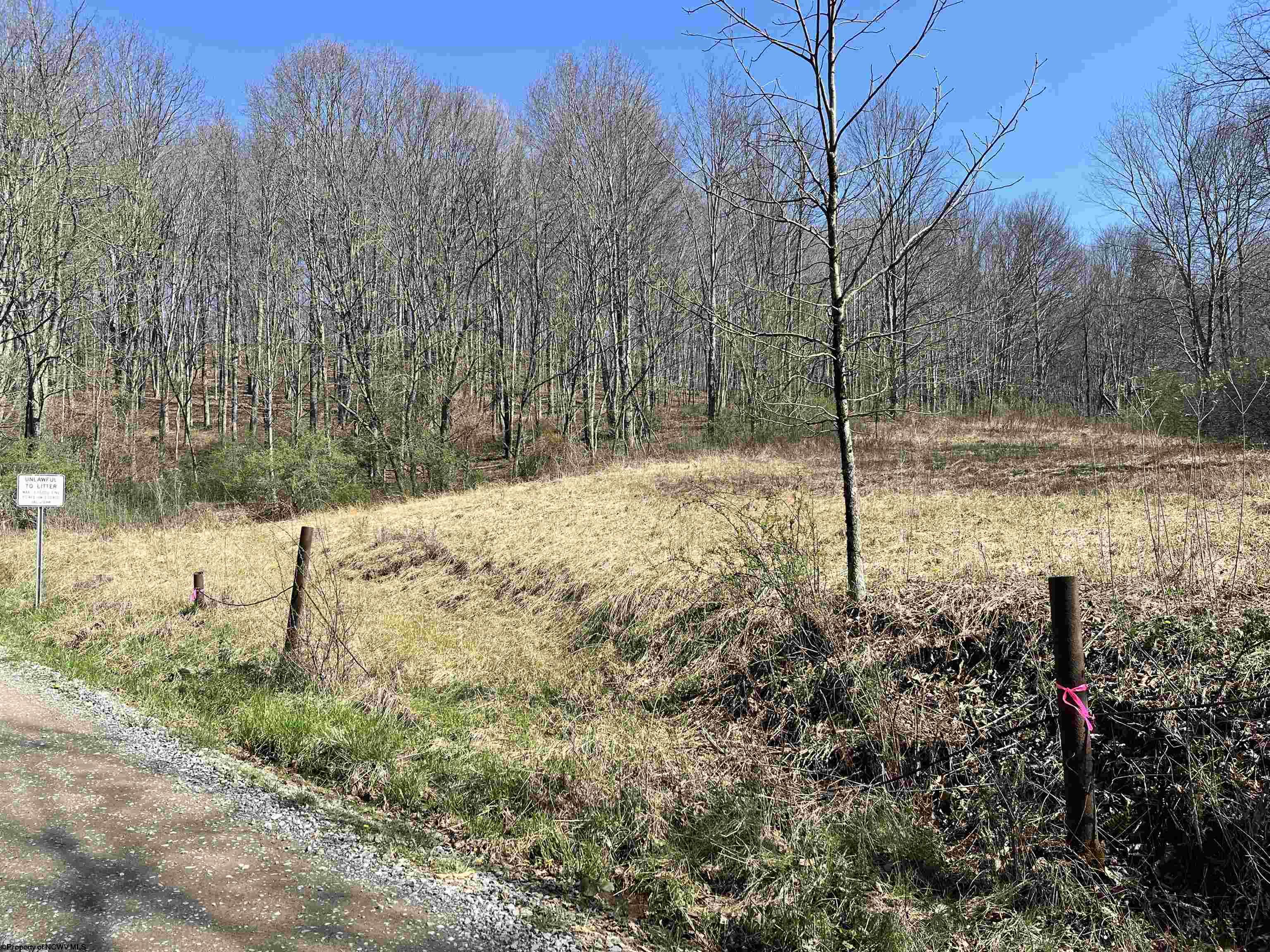 0 Herb Hyre Road French Creek WV 26218