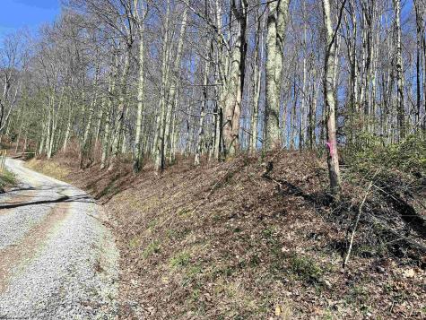 0 Herb Hyre Road French Creek WV 26218