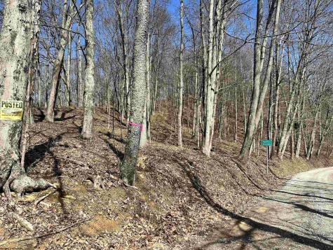 0 Herb Hyre Road French Creek WV 26218