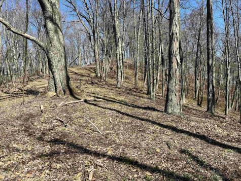 0 Herb Hyre Road French Creek WV 26218