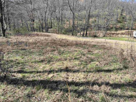 0 Herb Hyre Road French Creek WV 26218