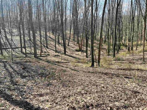 0 Herb Hyre Road French Creek WV 26218
