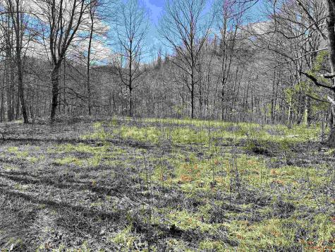 0 Herb Hyre Road French Creek WV 26218