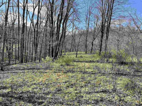 0 Herb Hyre Road French Creek WV 26218