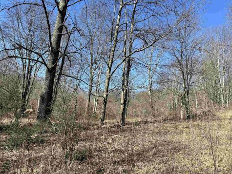 0 Herb Hyre Road French Creek WV 26218