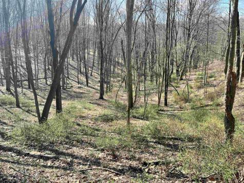 0 Herb Hyre Road French Creek WV 26218