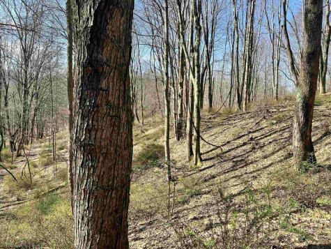 0 Herb Hyre Road French Creek WV 26218