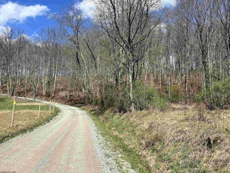 0 Herb Hyre Road French Creek WV 26218
