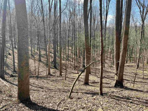 0 Herb Hyre Road French Creek WV 26218