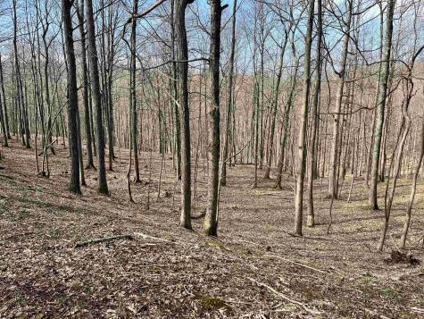 0 Herb Hyre Road French Creek WV 26218
