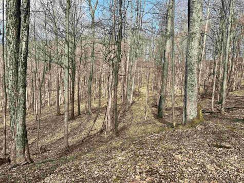 0 Herb Hyre Road French Creek WV 26218