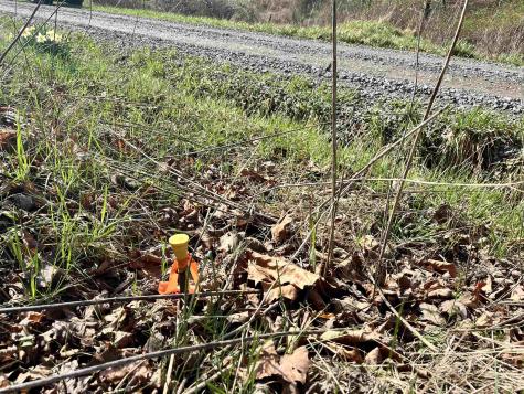 0 Herb Hyre Road French Creek WV 26218
