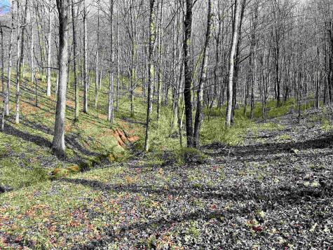0 Herb Hyre Road French Creek WV 26218