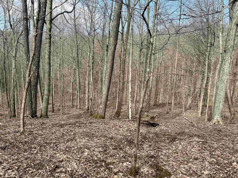 0 Herb Hyre Road French Creek WV 26218