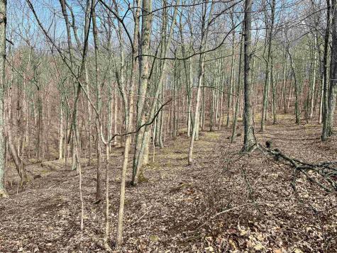 0 Herb Hyre Road French Creek WV 26218