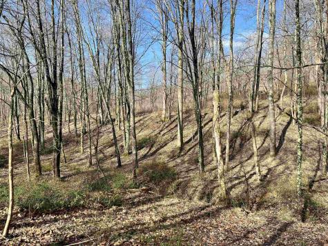 0 Herb Hyre Road French Creek WV 26218