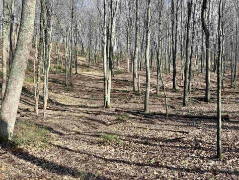 0 Herb Hyre Road French Creek WV 26218