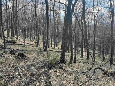 0 Herb Hyre Road French Creek WV 26218