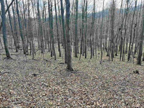 0 Herb Hyre Road French Creek WV 26218