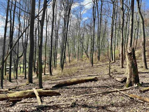 0 Herb Hyre Road French Creek WV 26218