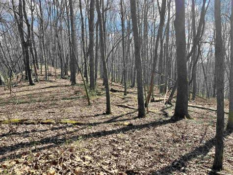 0 Herb Hyre Road French Creek WV 26218