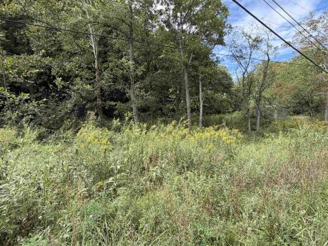 1955 Lazzelle Union Road Maidsville WV 26541