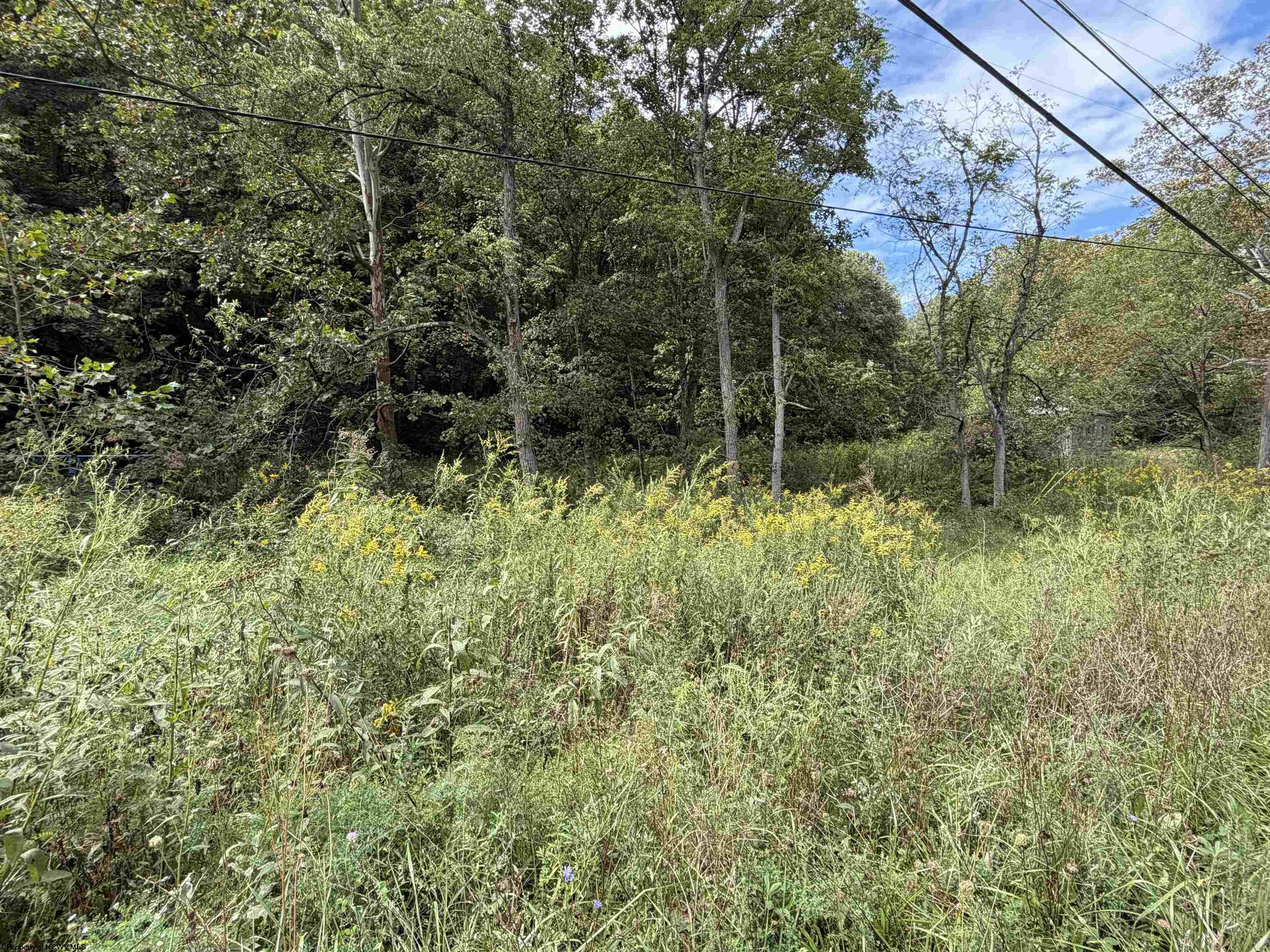 1955 Lazzelle Union Road Maidsville WV 26541