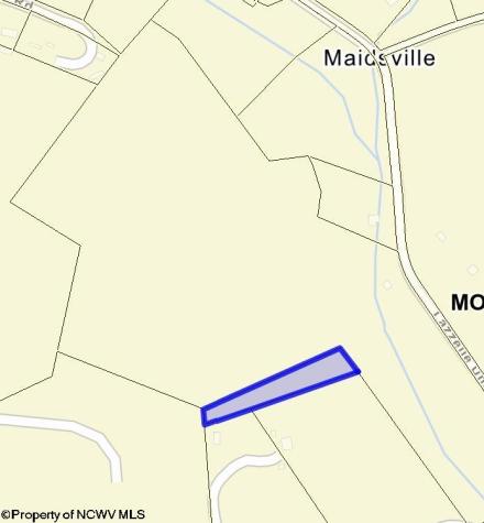 1955 Lazzelle Union Road Maidsville WV 26541