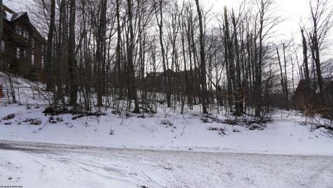 45 Winterset Drive Davis WV 26260