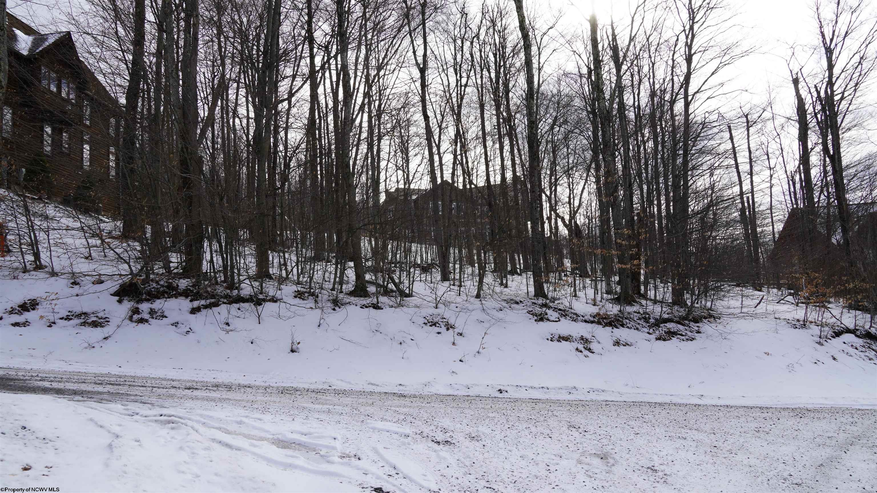 45 Winterset Drive Davis WV 26260