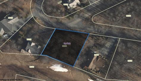 45 Winterset Drive Davis WV 26260