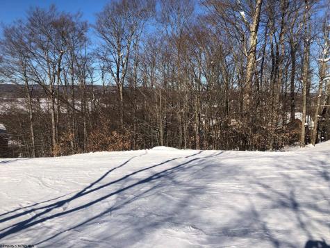45 Winterset Drive Davis WV 26260