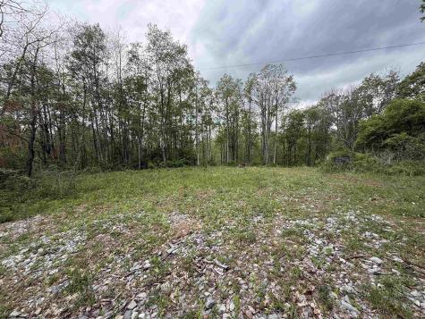 1154 Brady Gate Road Valley Head WV 26294