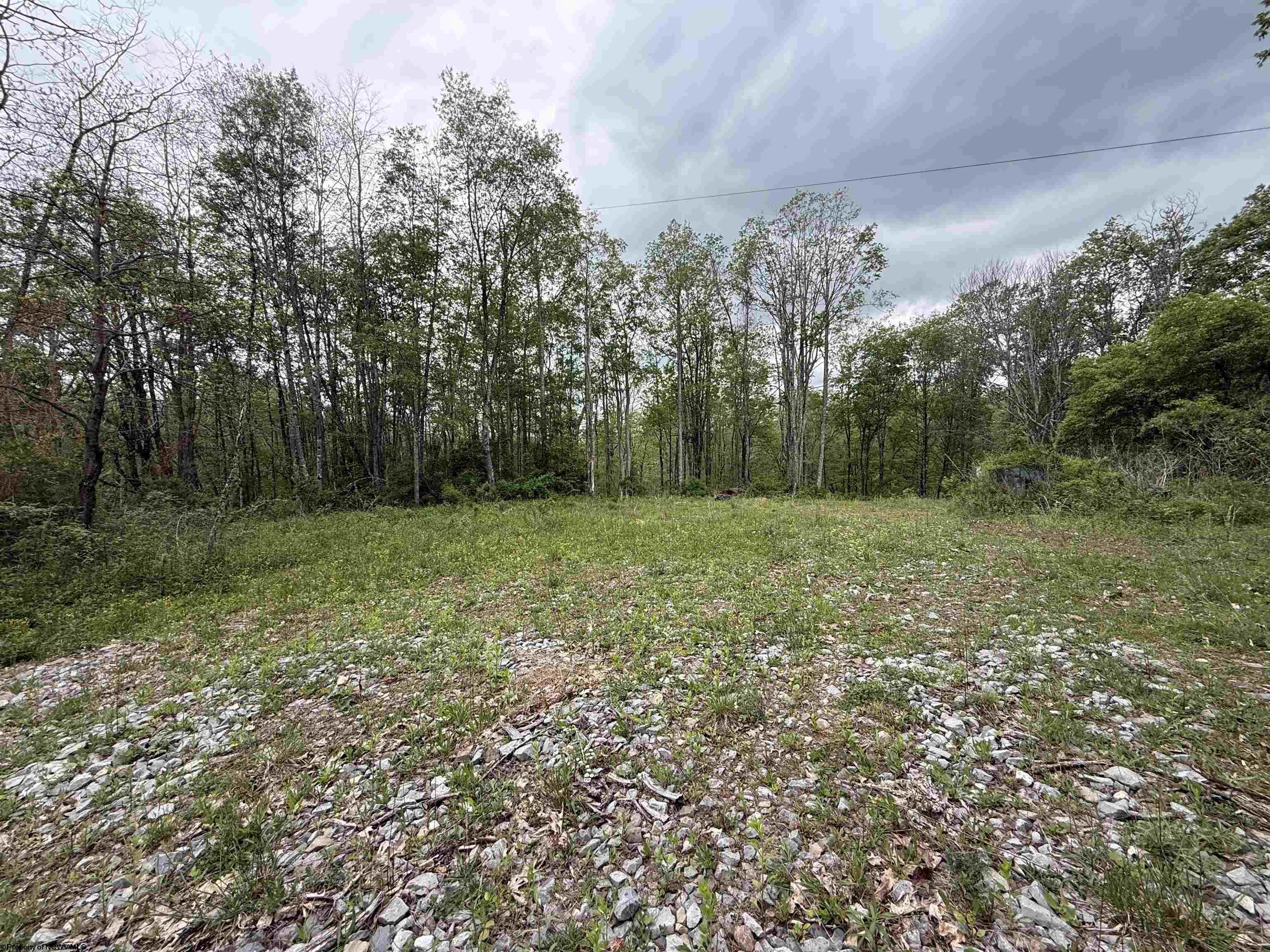 1154 Brady Gate Road Valley Head WV 26294