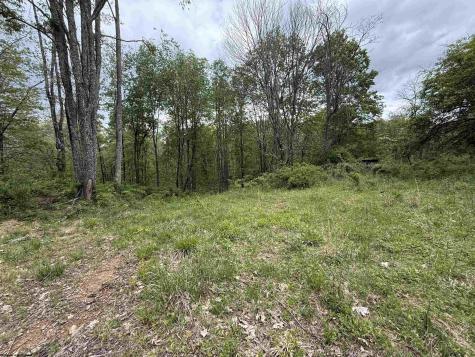 1154 Brady Gate Road Valley Head WV 26294