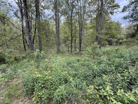 1154 Brady Gate Road Valley Head WV 26294
