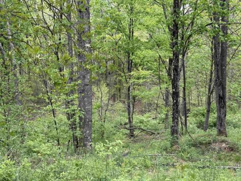 1154 Brady Gate Road Valley Head WV 26294