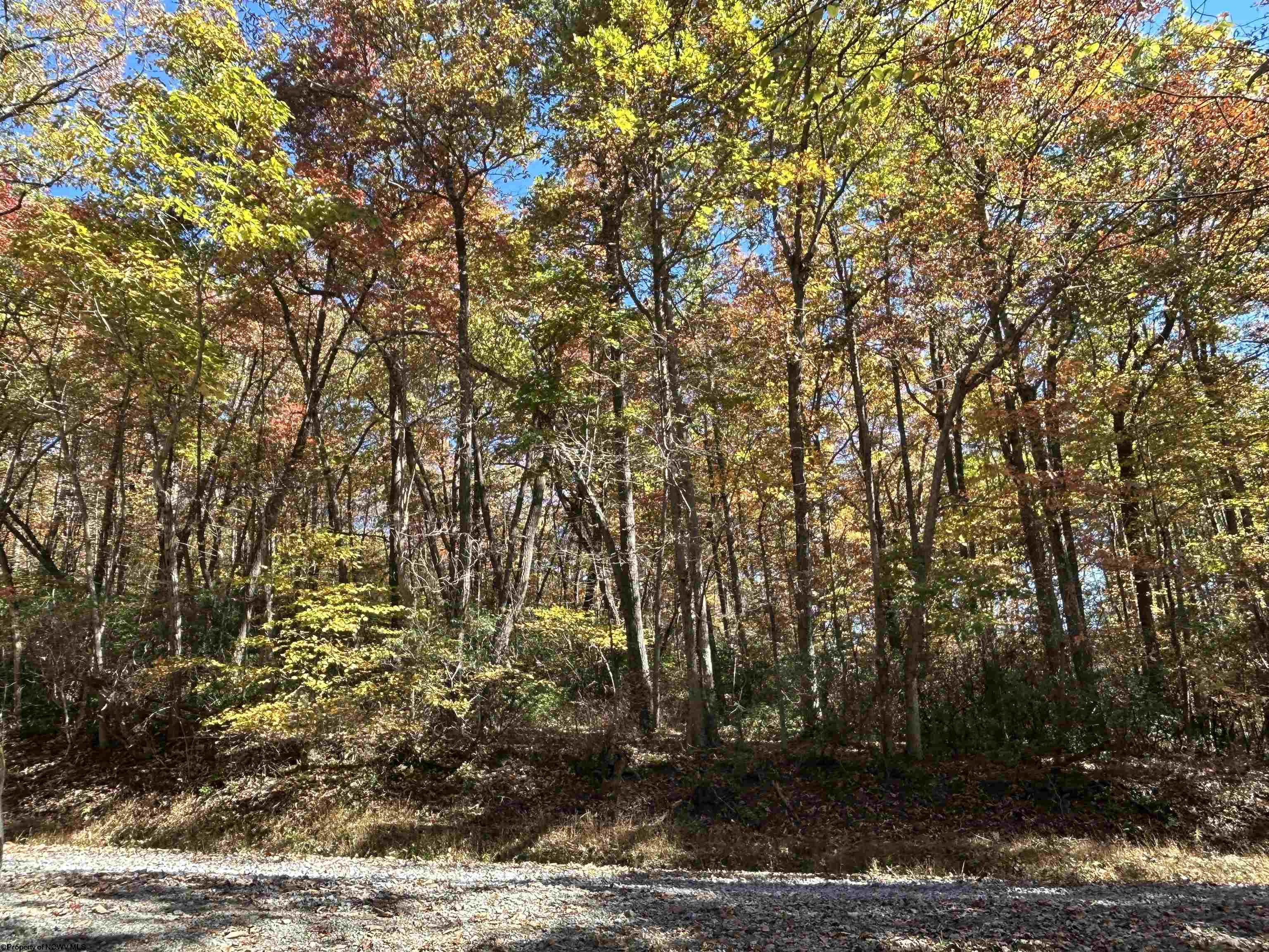 0 Camp Mountaineer Road Morgantown WV 26508