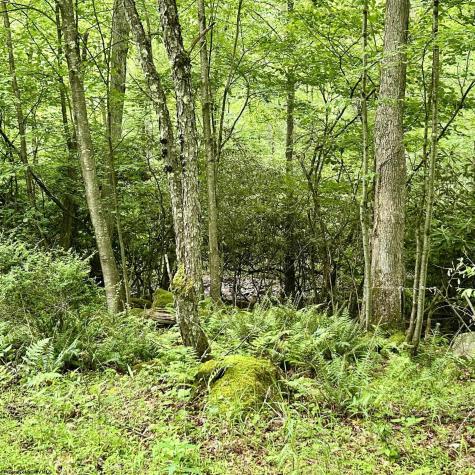 0 Camp Mountaineer Road Morgantown WV 26508