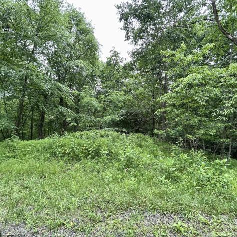 0 Camp Mountaineer Road Morgantown WV 26508