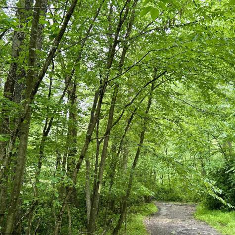 0 Camp Mountaineer Road Morgantown WV 26508