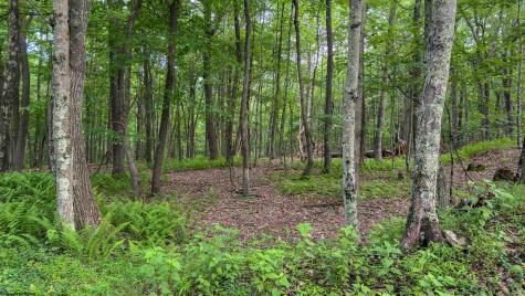 0 Camp Mountaineer Road Morgantown WV 26508